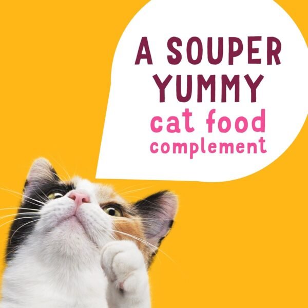 Purina  Natural, Grain Free Wet Cat Food Lickable Cat Treats, Lil' Soups with Sockeye Salmon in Chicken Broth - (Pack of 8) 1.2 Oz. Cups - Image 6